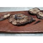 Mágikus Fodros Pentagram Gyűrű