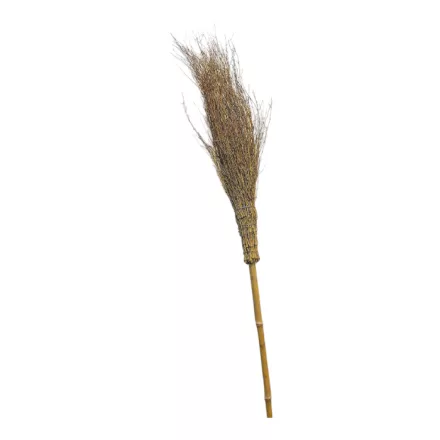 Boszorkány seprű