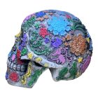 Színes Mágikus Koponya