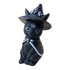 Kalapos boszorkány macska