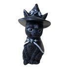 Kalapos Boszorkány Macska