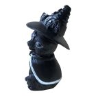 Kalapos boszorkány macska