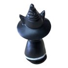 Kalapos boszorkány macska