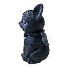 Szárnyas Boszorkány Macska