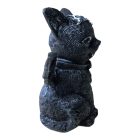 Szárnyas Boszorkány Macska