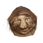 Faragott kókuszdió fej
