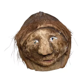 Faragott kókuszdió fej