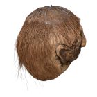 Faragott Kókuszdió Fej