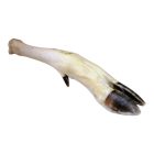 Voodoo Mágikus Mutató