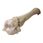 Voodoo mágikus mutató