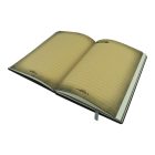 Árnyak könyve sárkányos