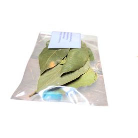 Szentelt babérlevél