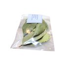 Szentelt babérlevél