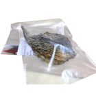 Szentelt Dohánylevél