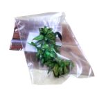 Szentelt Színezett Sáfrányos Szeklice