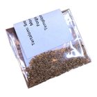 Szentelt Gyűszűvirág Virágmag