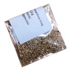 Szentelt Szalmarózsa Virágmag