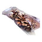 Szentelt Fenyőtoboz