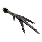 Szentelt fekete kakasláb