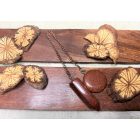 Boszorkány Inga Napkővel