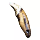 Kutyafog