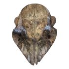 Szarvas Koponya Gyertyatartó