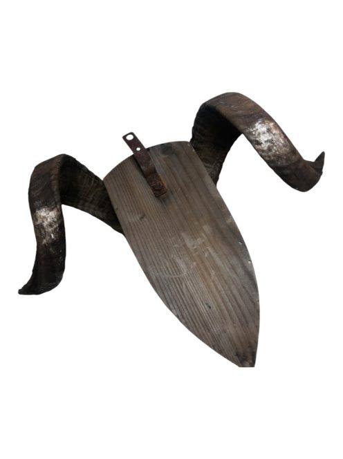 Kos Koponya