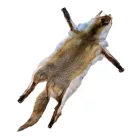 Rókaprém