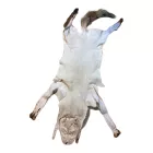 Rókaprém