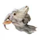 Kecskefej