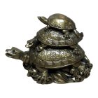 Pénzbevonzó Teknős