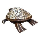 Teknős Ereklye Tartó