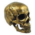 Aranyszínű koponya