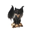 Koponyás szárnyas macska