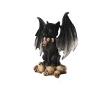 Koponyás szárnyas macska