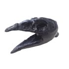 Varjú koponya halálsíp