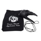 Varjú koponya halálsíp