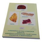 Gyógyító nemeskövek