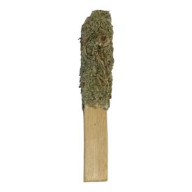 Palo santo cédrussal