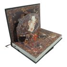 Pillangós árnyak könyve