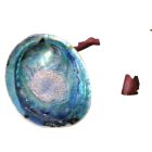 Mágikus Kagyló Áldozó Tál